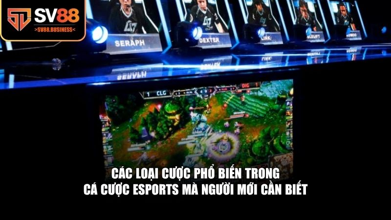 Có rất nhiều hình thức cá cược esports để lựa chọn