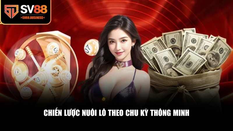 Bạn cần một chiến lược rõ ràng để tối ưu nguồn lực và tỷ lệ thắng trong lô chu kỳ