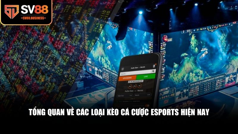 Nắm rõ những loại kèo cá cược eSports phổ biến nhất