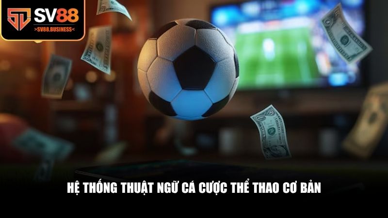 Nhóm thuật ngữ cá cược thể thao xuất hiện thường xuyên
