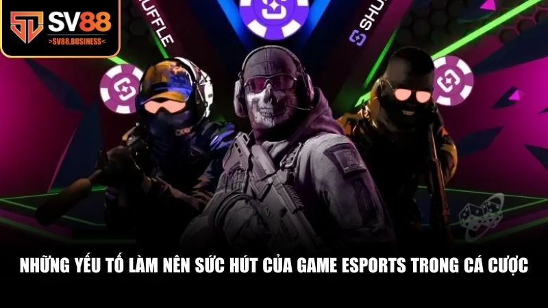 Lý do tại sao một số tựa game lại thống trị bảng xếp hạng cá cược
