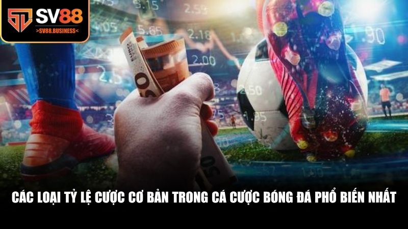 Có ba loại tỷ lệ cược cơ bản trong cá cược bóng đá mà bạn thường gặp
