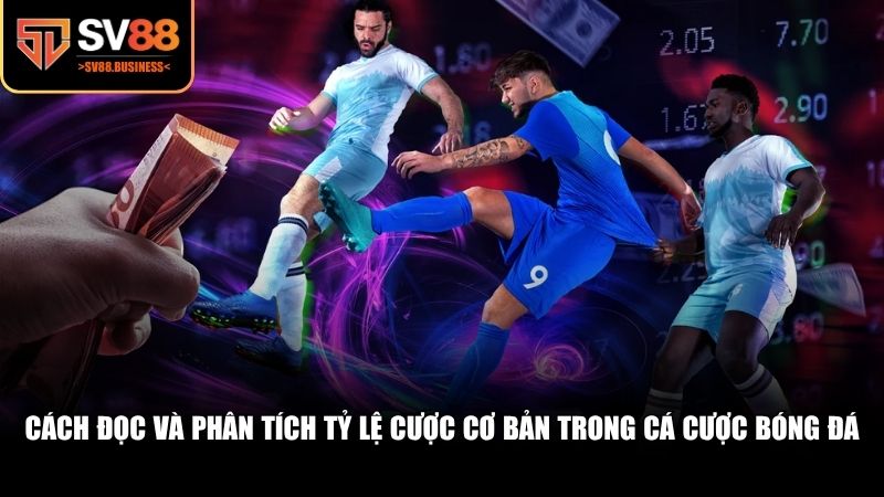Cách đọc và phân tích tỷ lệ cược cơ bản trong cá cược bóng đá