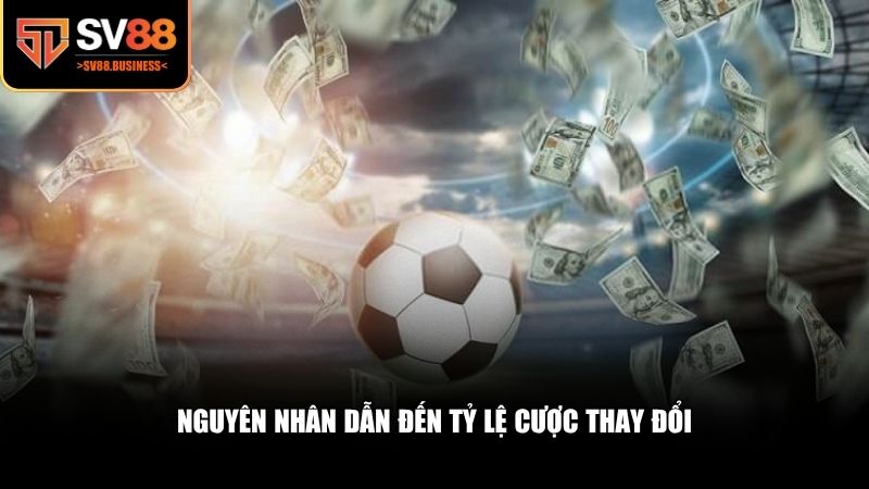 Tỷ lệ cược thay đổi không phải là hiện tượng ngẫu nhiên