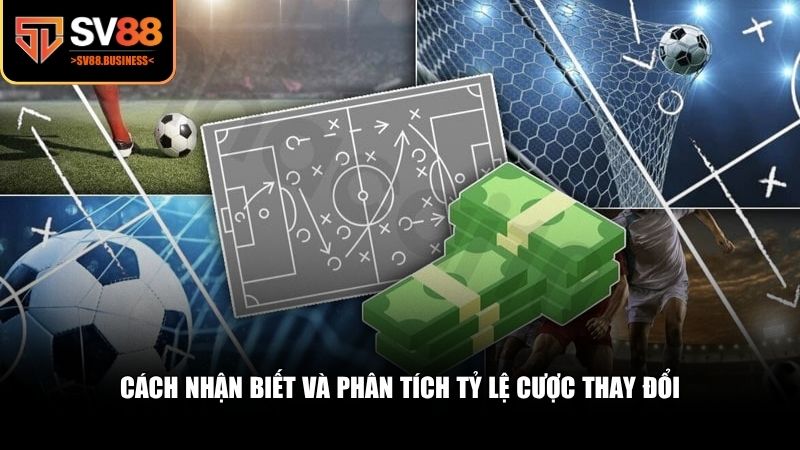 Cách nhận biết và phân tích tỷ lệ cược thay đổi